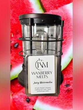 Hand Crafted Juicy Watermelon Scented Wax Melts